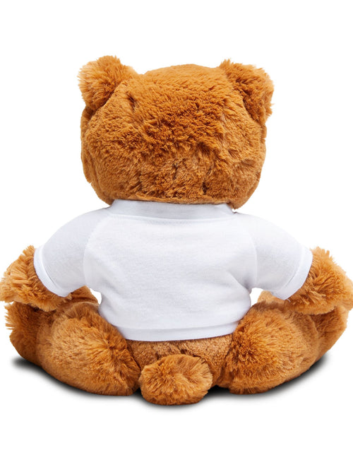 Load image into Gallery viewer, A-CLUB Plush Teddy Bear
