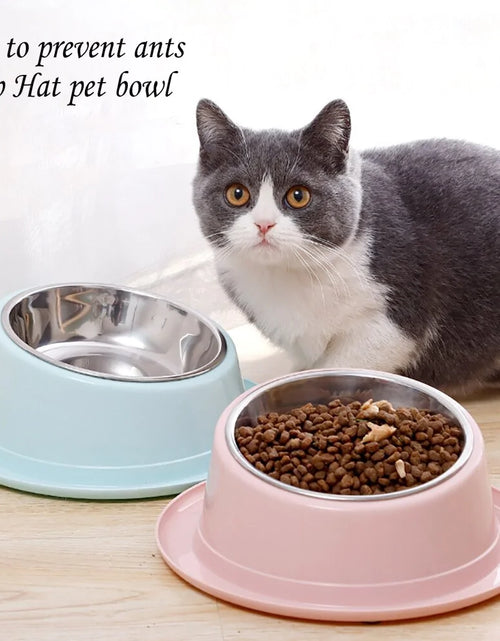 Load image into Gallery viewer, Hat Shaped Pet Food Bowl
